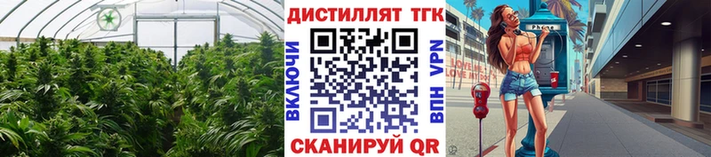 закладки  Сусуман  MEGA зеркало  Дистиллят ТГК жижа 
