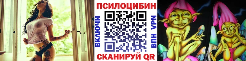 Псилоцибиновые грибы прущие грибы  mega зеркало  Сусуман 