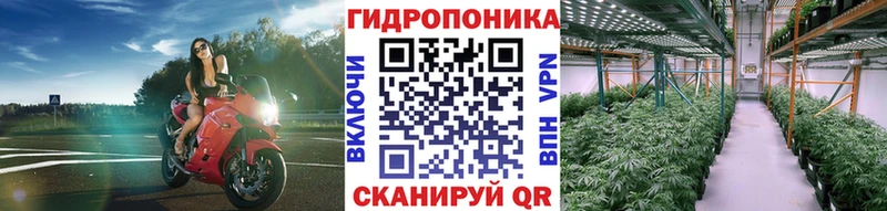 Марихуана MAZAR  купить   Сусуман 